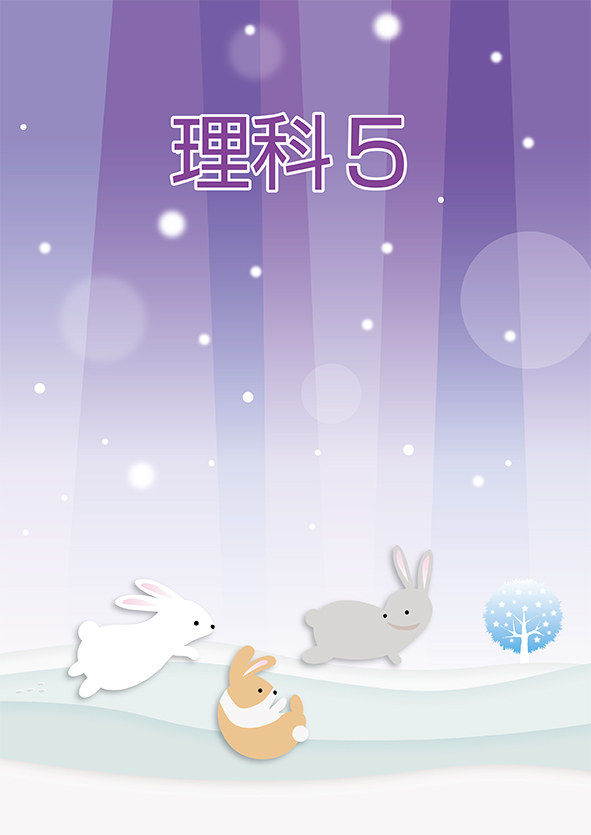 ＣＫＴ　冬のテキスト　理科　小５