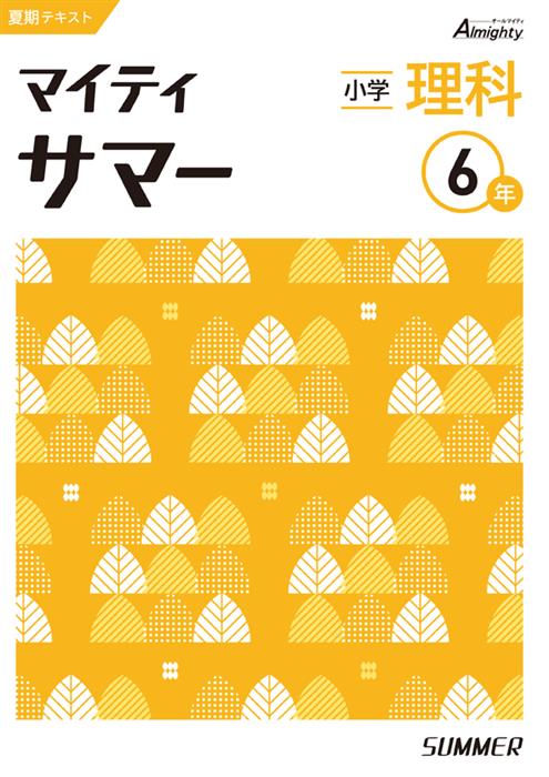 マイティサマー　理科　小６