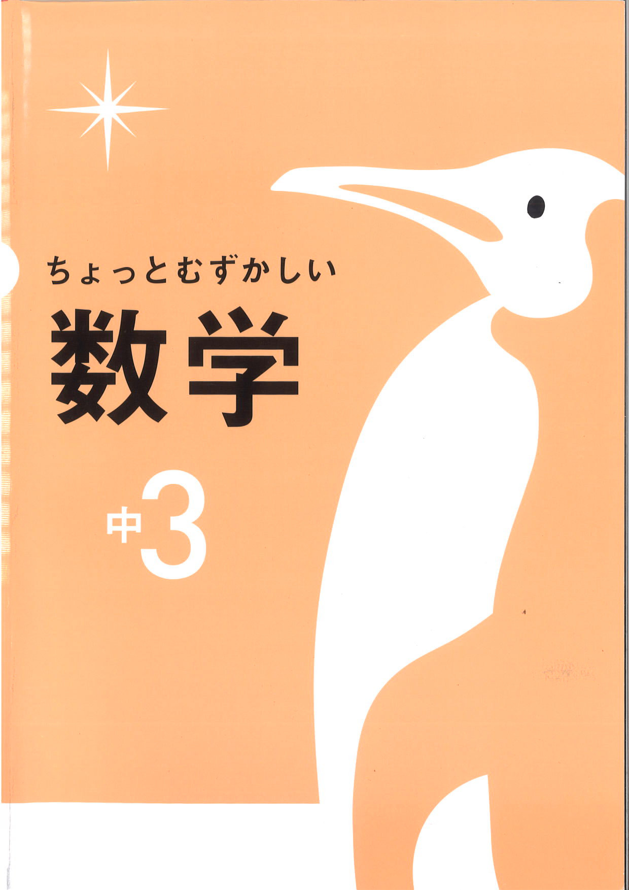 ちょっとむずかしい　数学　中３