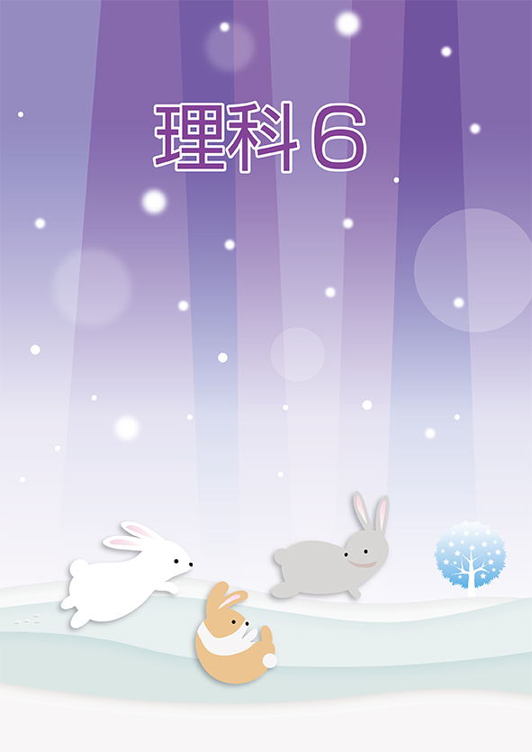 ＣＫＴ　冬のテキスト　社会　小５