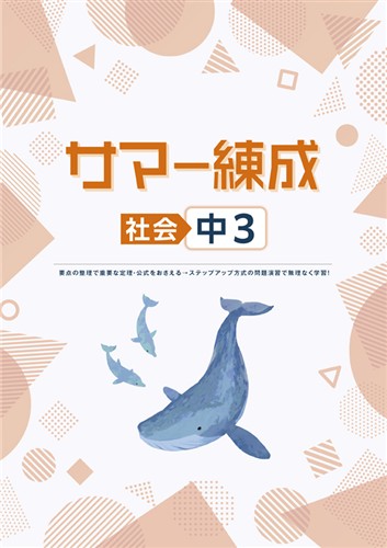 サマー練成　社会　中３