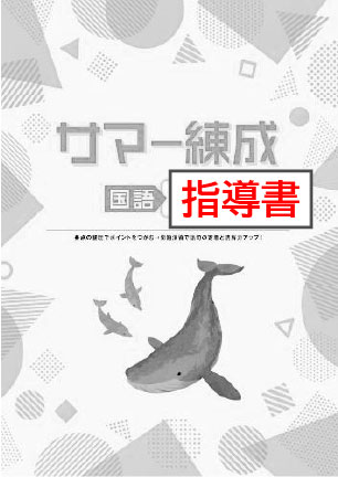 指導書　サマー練成　国語　中３