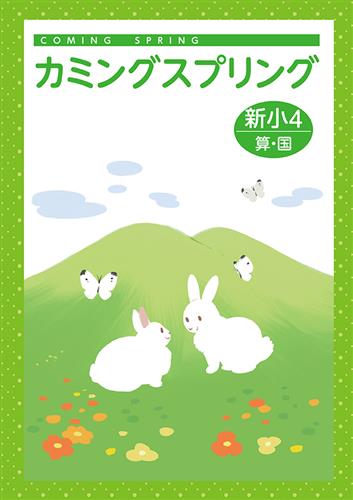 カミングスプリング　合本　算国　小４