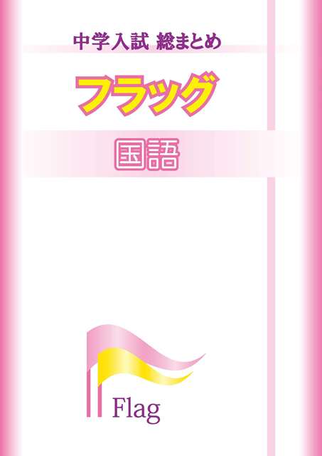 中学入試総まとめ　フラッグ　国語