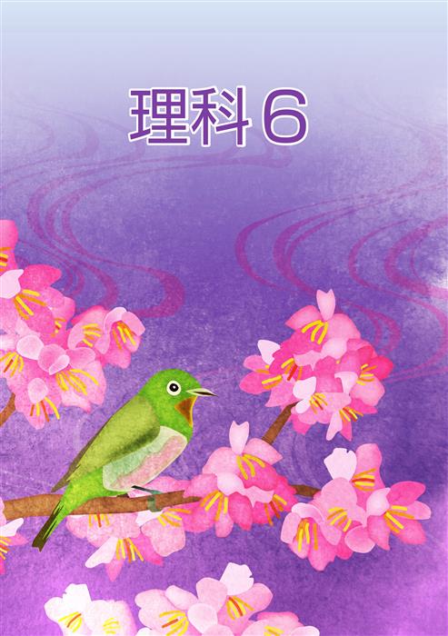 ＣＫＴ　春のテキスト　理科　小６